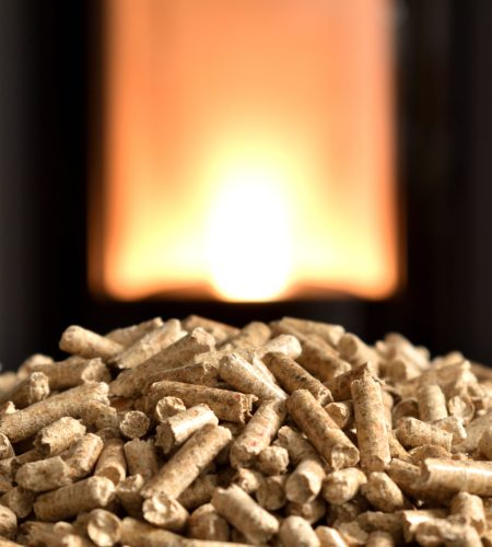 Modern domestic pellet stove, granules stove with flames
