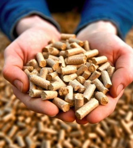 pellet-organico2