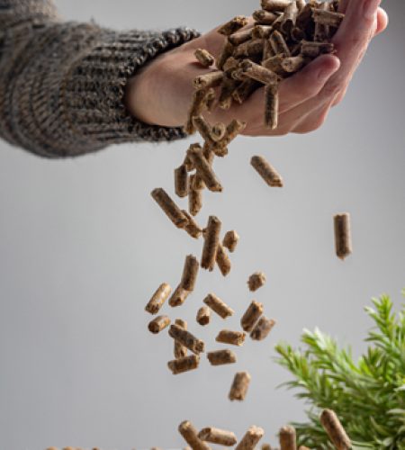 produccion-pellets-madera-tipo-combustible-madera-www.maspelletchile.cl